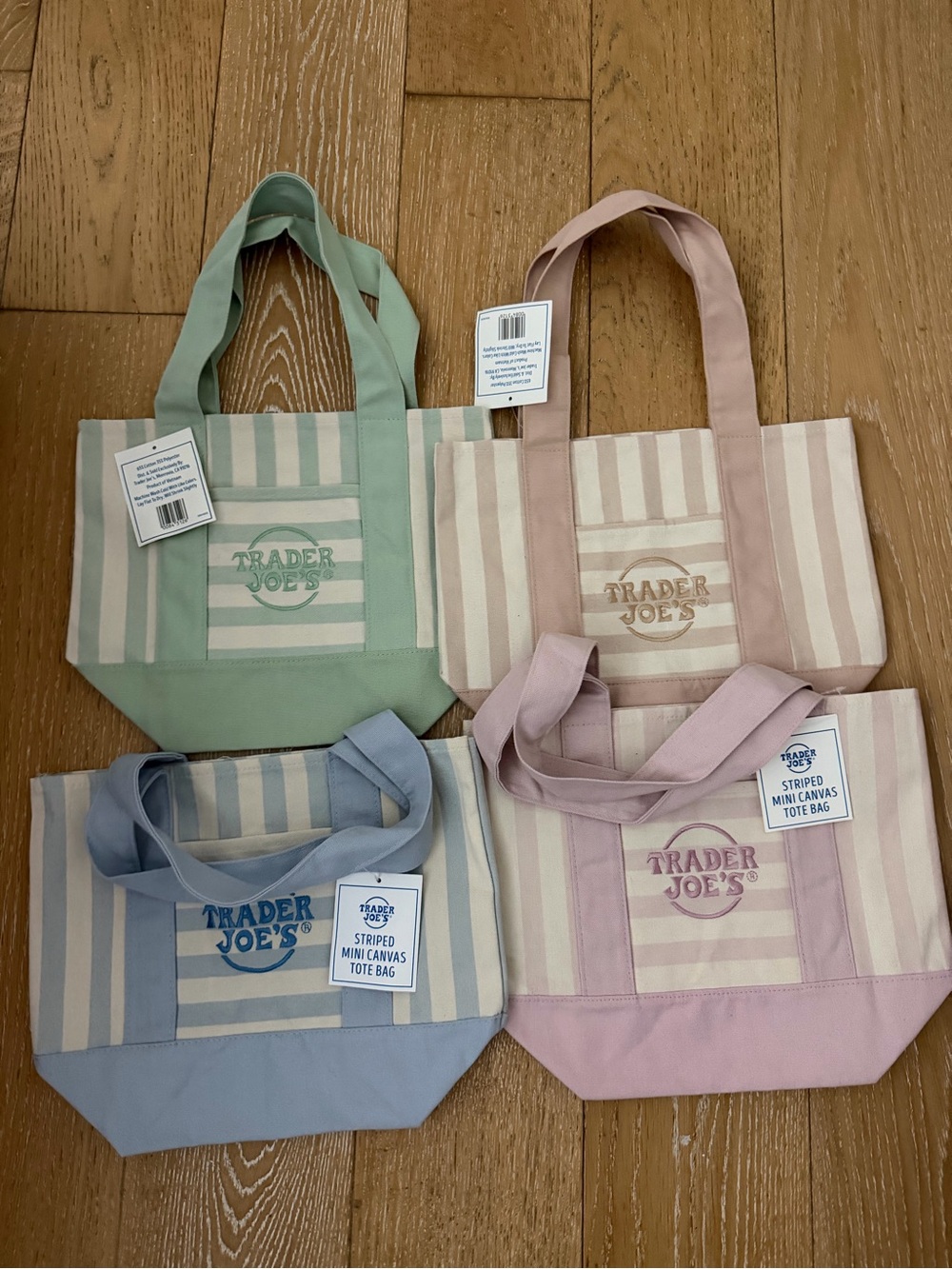 Trader Joe's Canvas Stripe mini Tote Bag